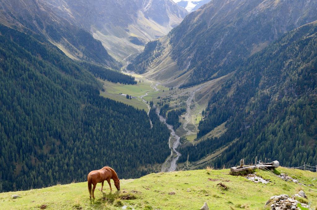 Chalet Alpenjuwel Villa Kematen in Tirol Bagian luar foto